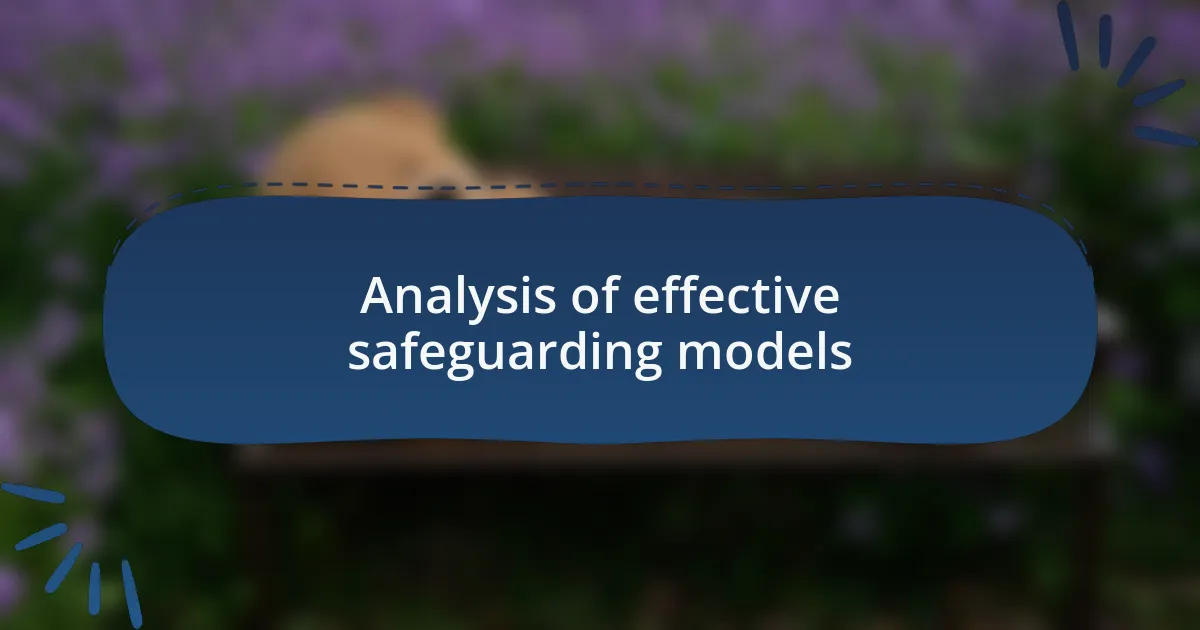Analysis of effective safeguarding models