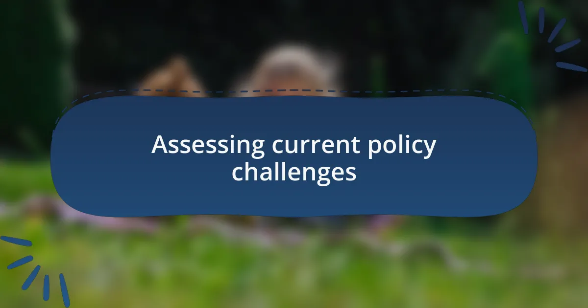 Assessing current policy challenges