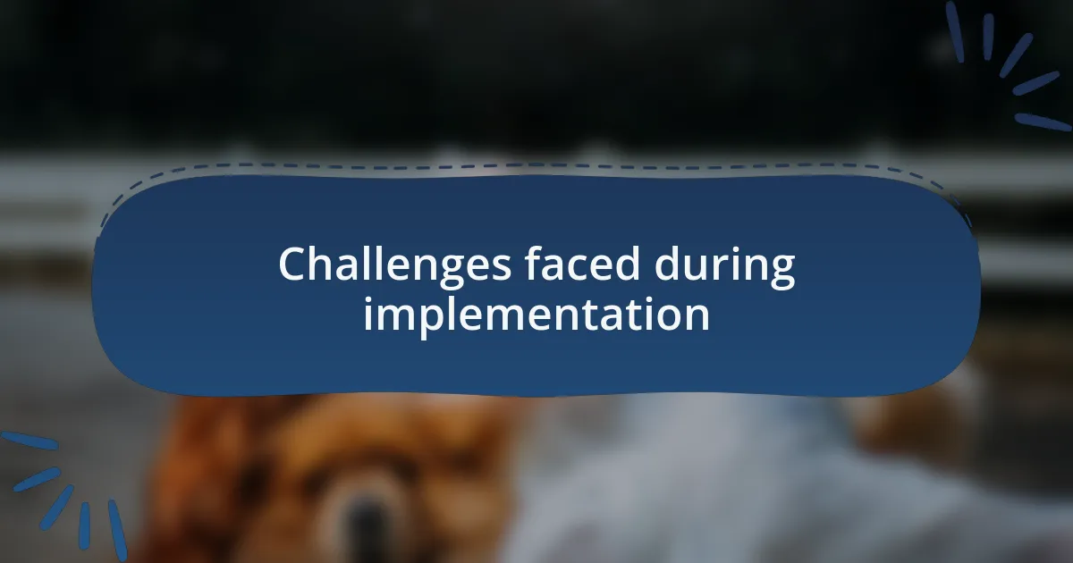 Challenges faced during implementation
