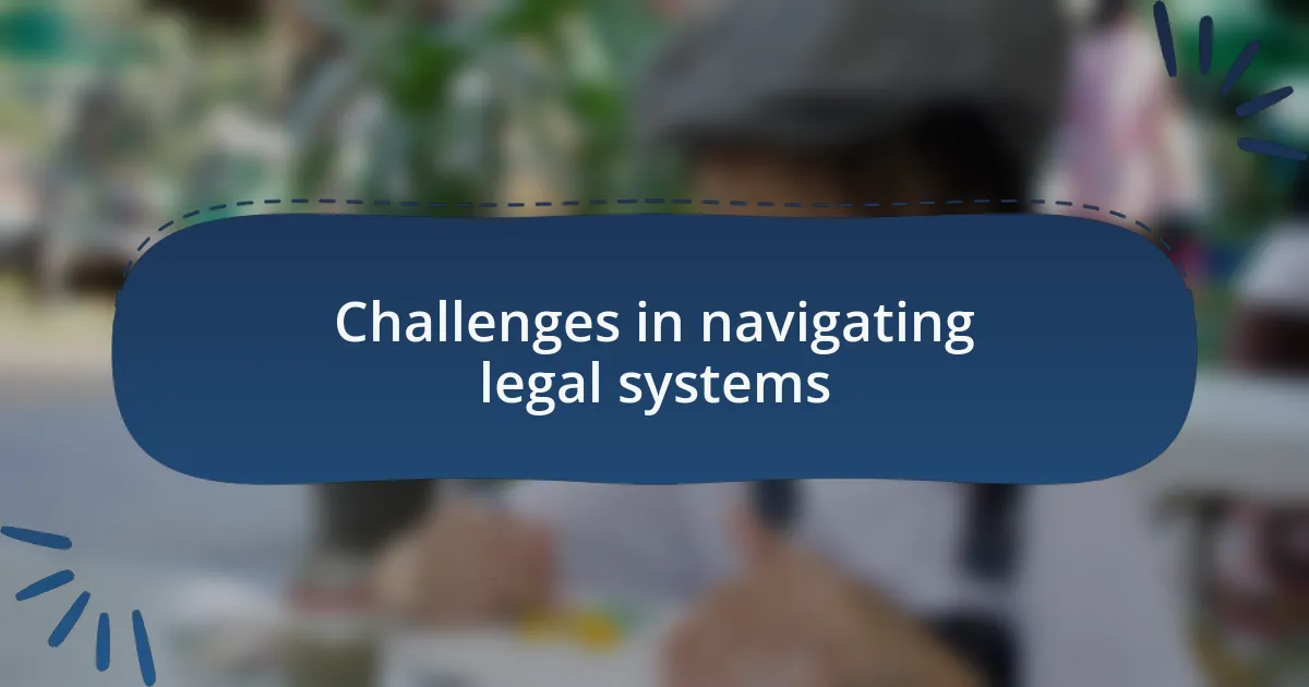 Challenges in navigating legal systems