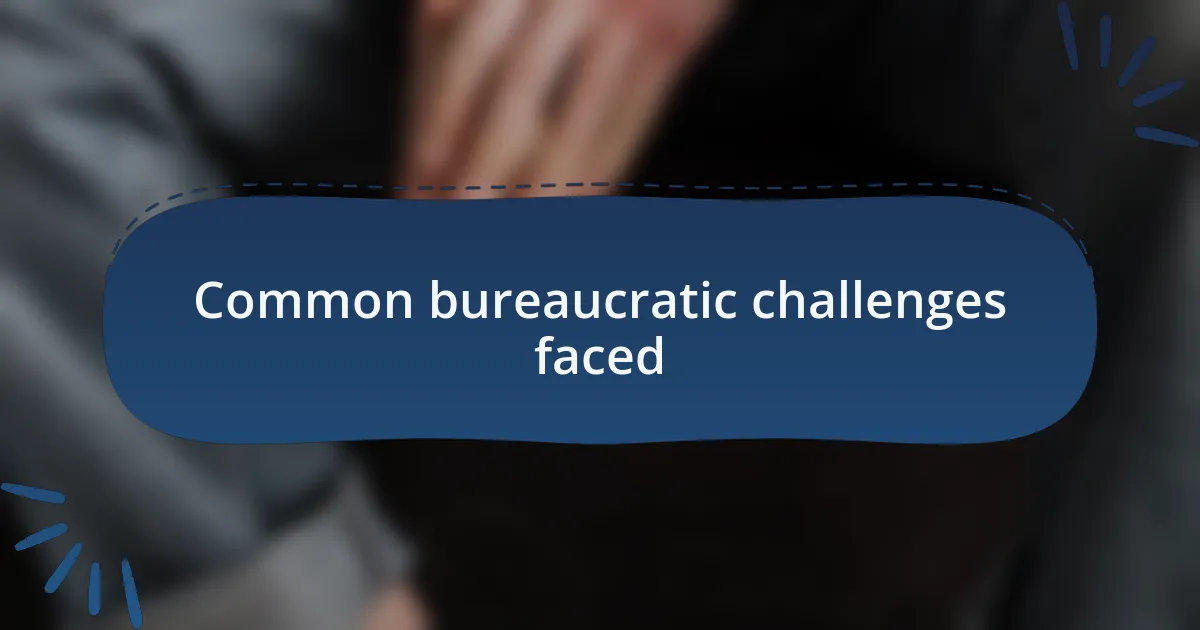 Common bureaucratic challenges faced