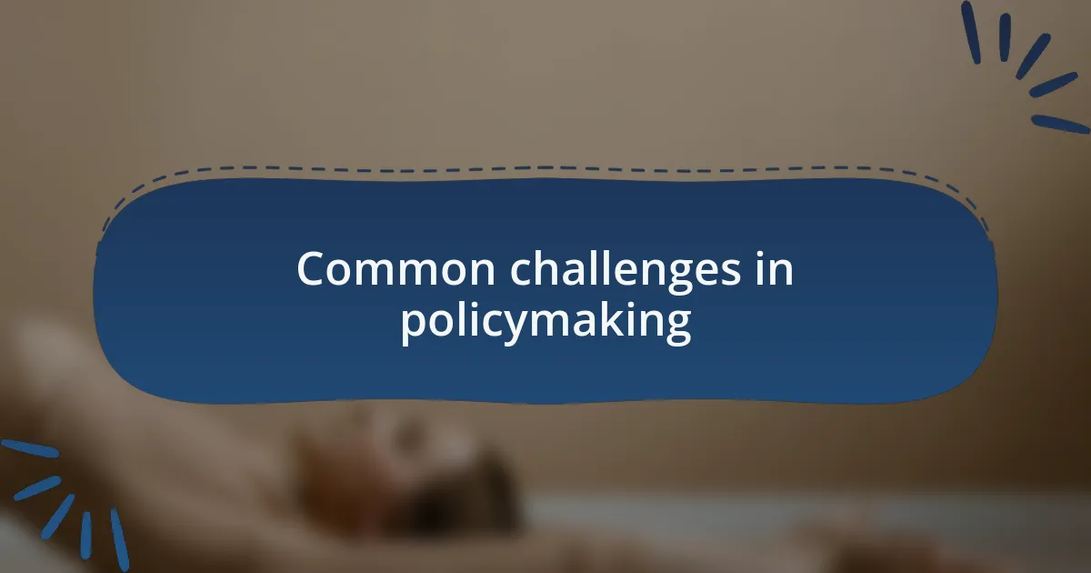 Common challenges in policymaking