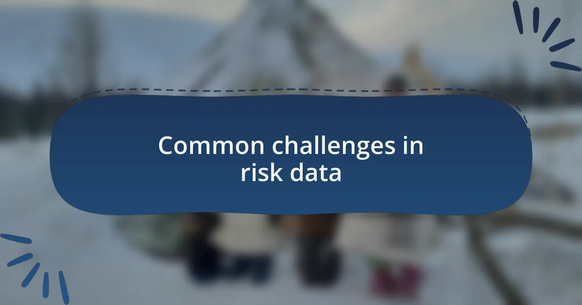 Common challenges in risk data