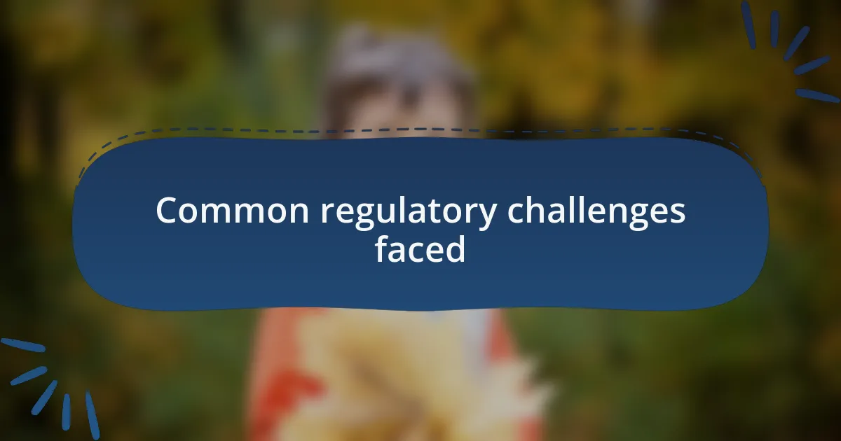 Common regulatory challenges faced
