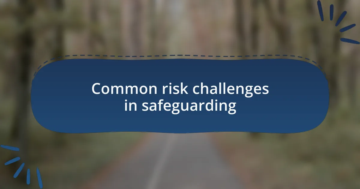 Common risk challenges in safeguarding