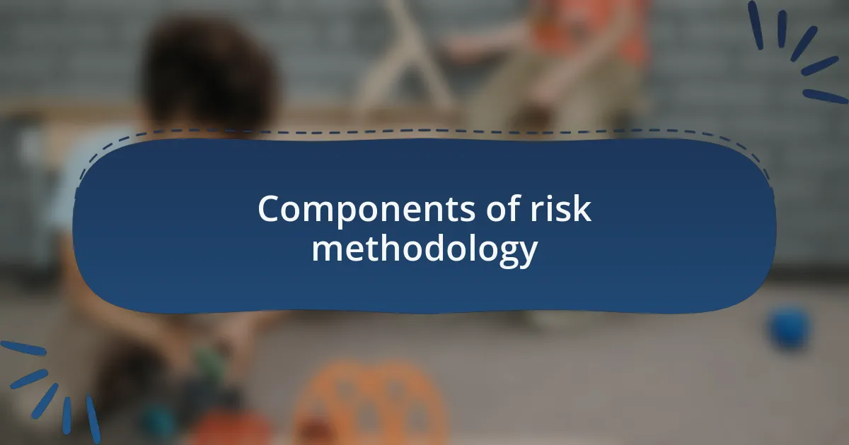 Components of risk methodology