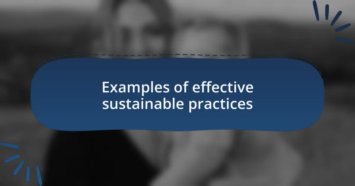 Examples of effective sustainable practices