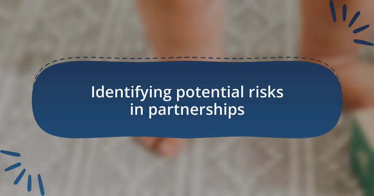Identifying potential risks in partnerships