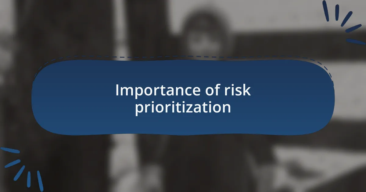 Importance of risk prioritization