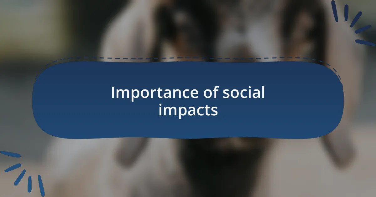 Importance of social impacts