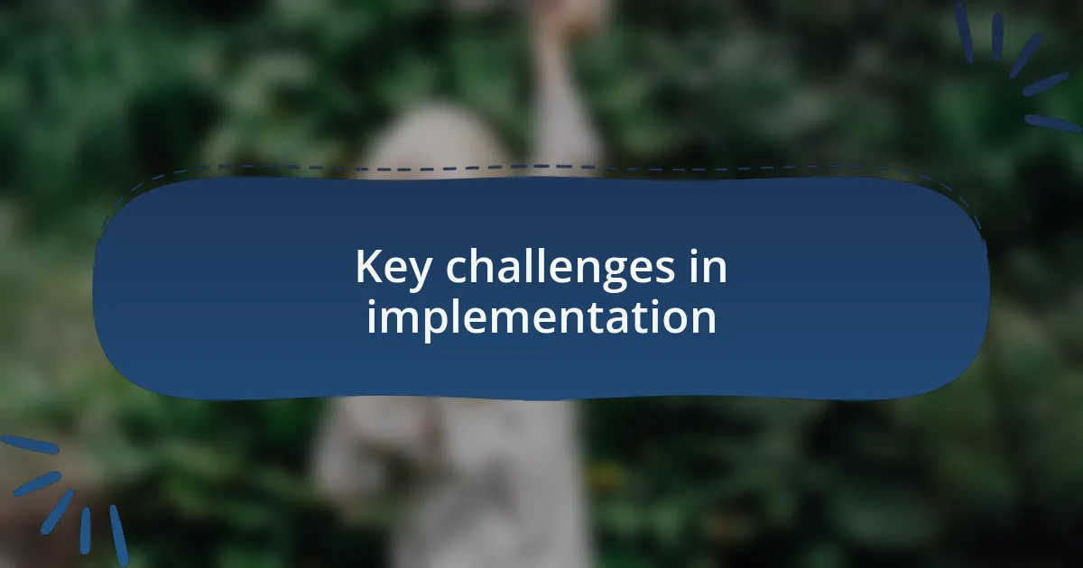Key challenges in implementation