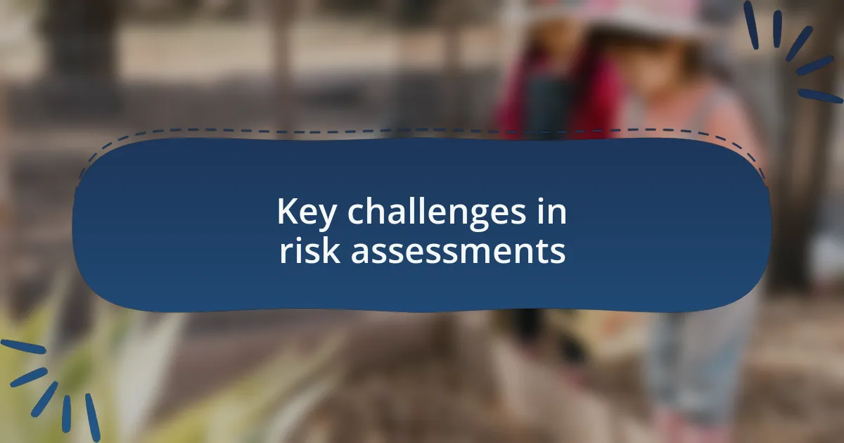 Key challenges in risk assessments