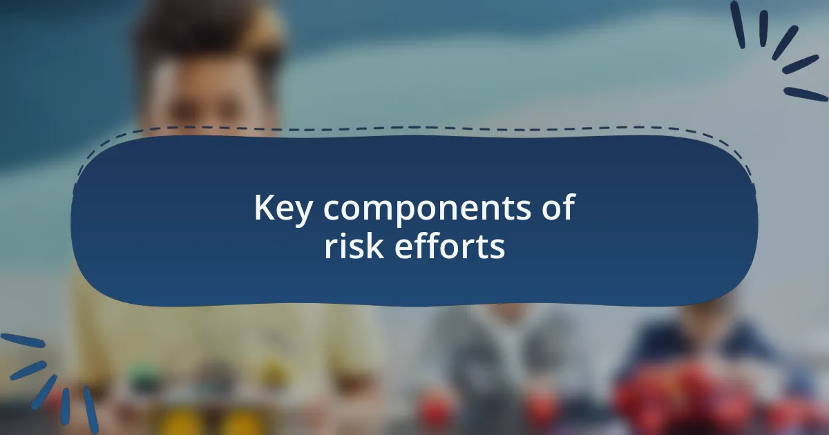 Key components of risk efforts