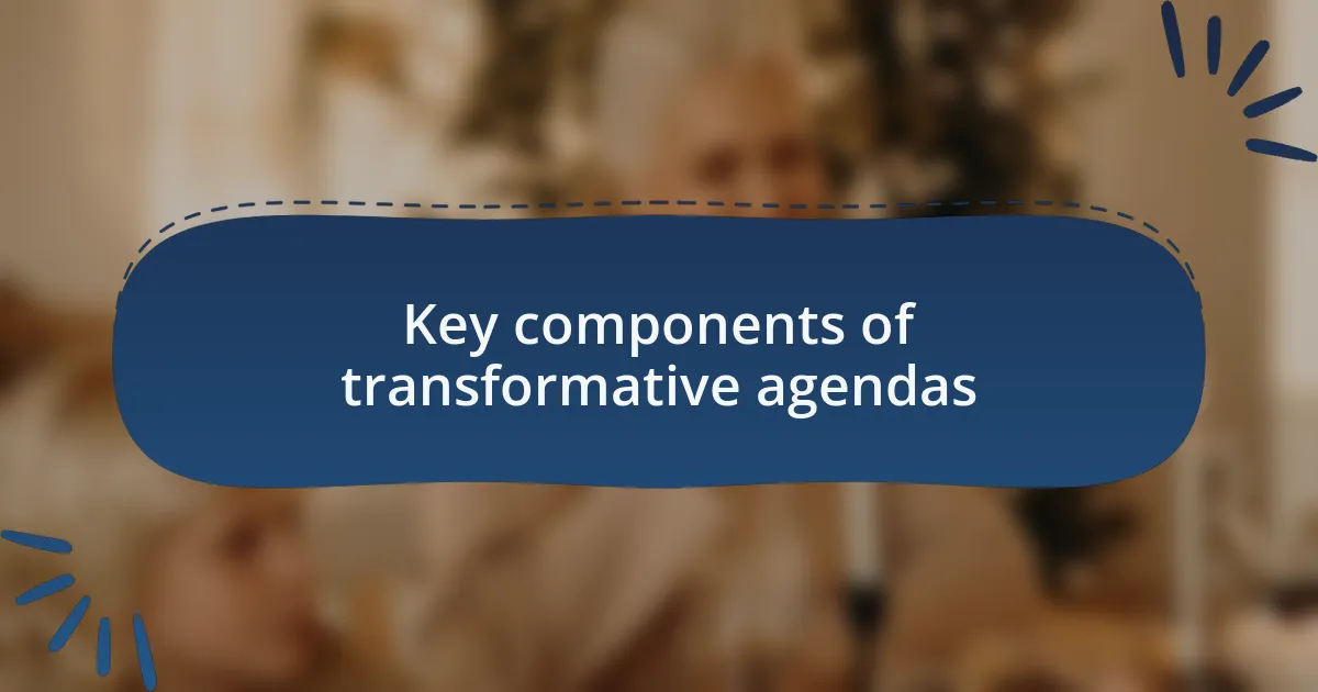 Key components of transformative agendas