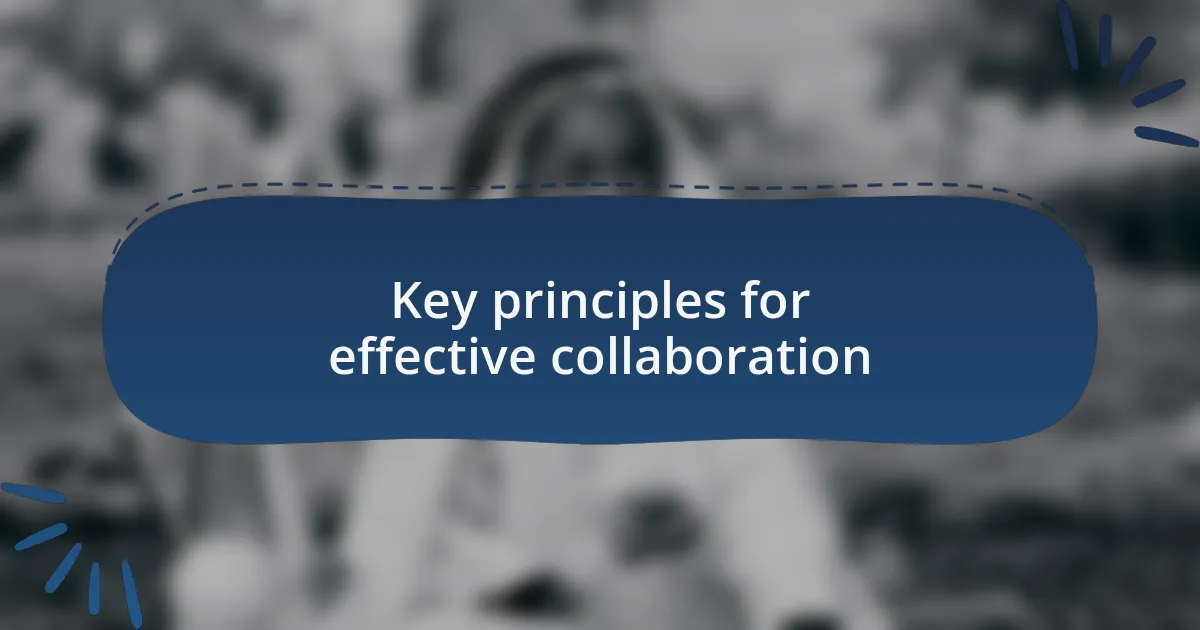 Key principles for effective collaboration