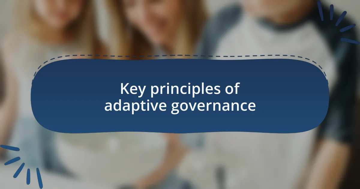 Key principles of adaptive governance