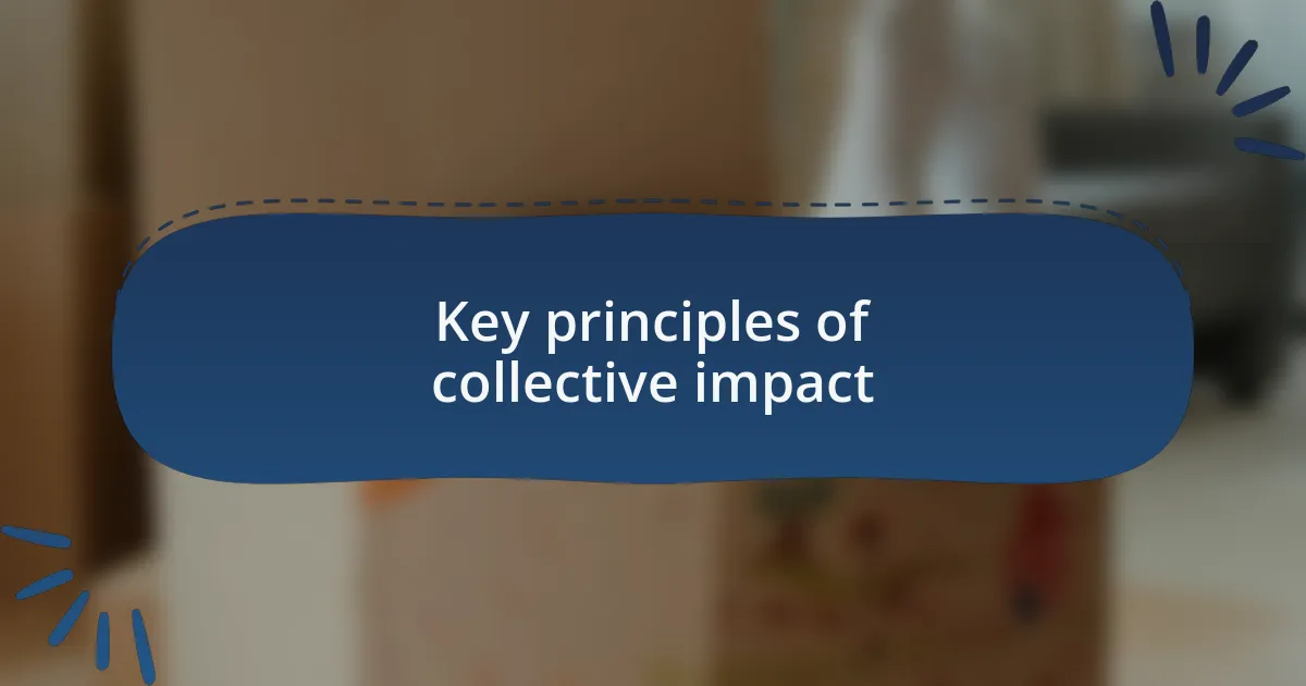 Key principles of collective impact