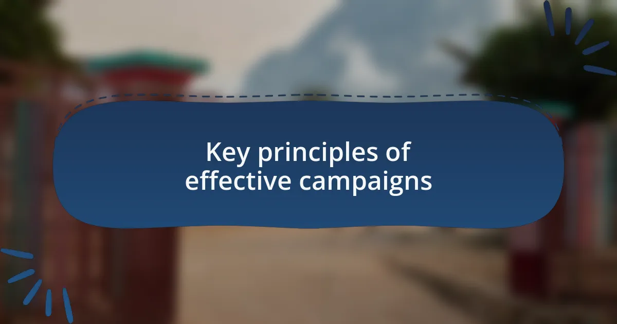 Key principles of effective campaigns