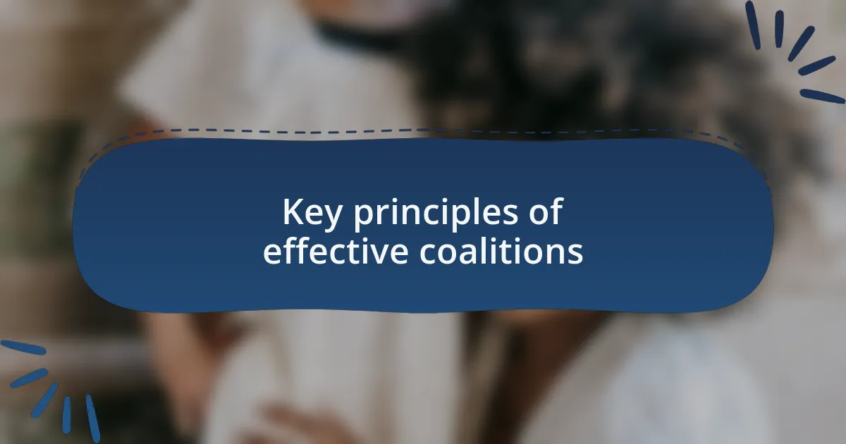 Key principles of effective coalitions