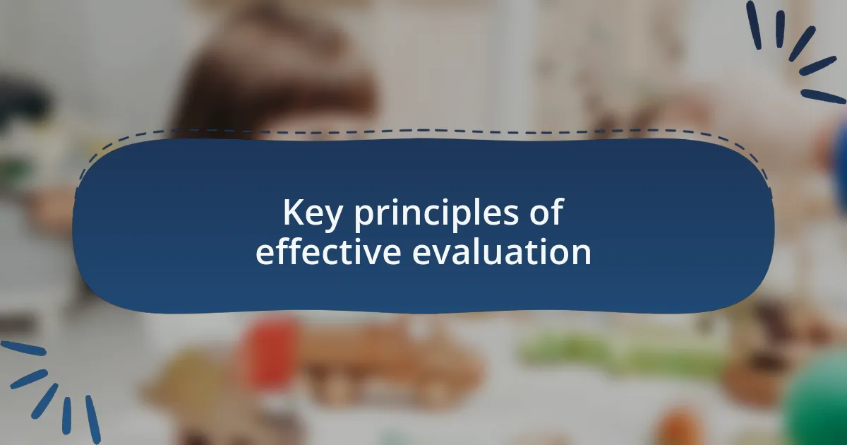 Key principles of effective evaluation