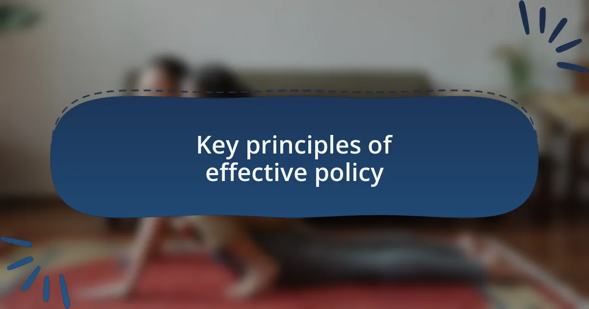 Key principles of effective policy