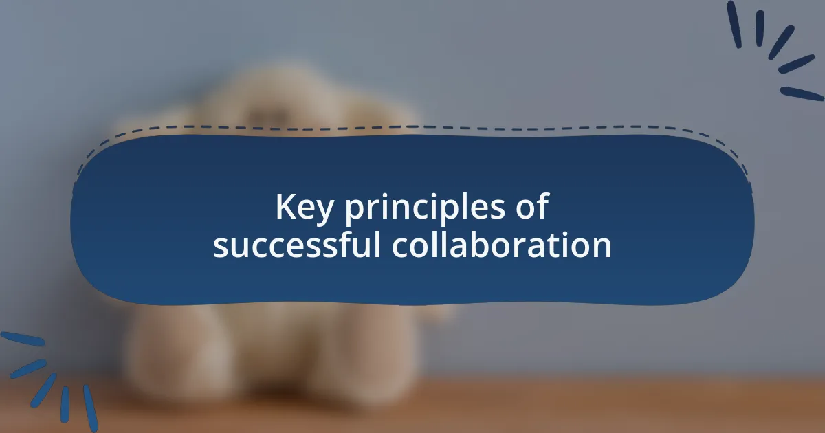 Key principles of successful collaboration