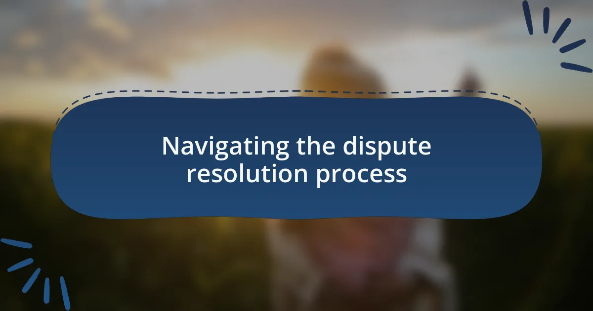 Navigating the dispute resolution process