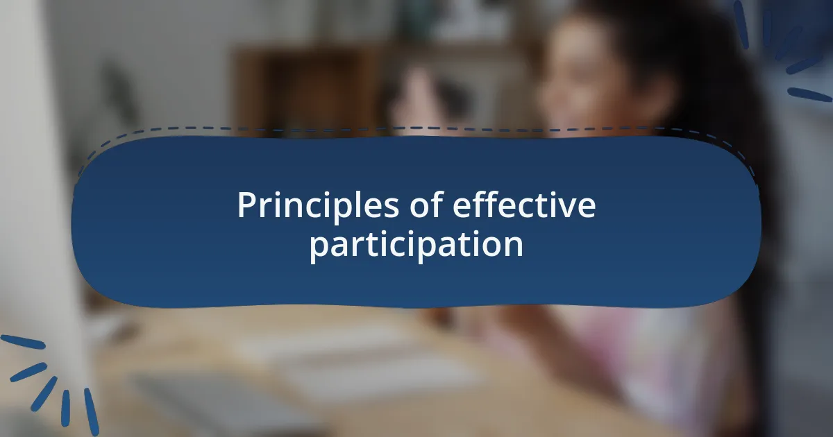 Principles of effective participation