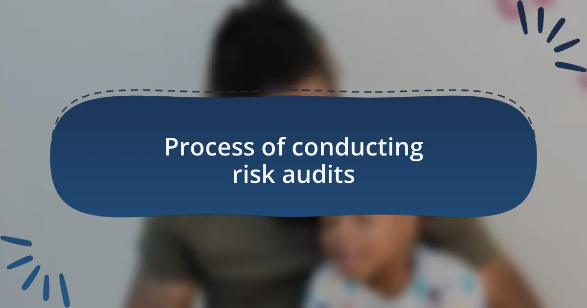 Process of conducting risk audits