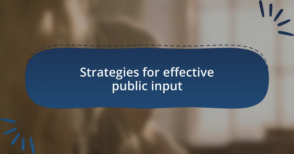 Strategies for effective public input