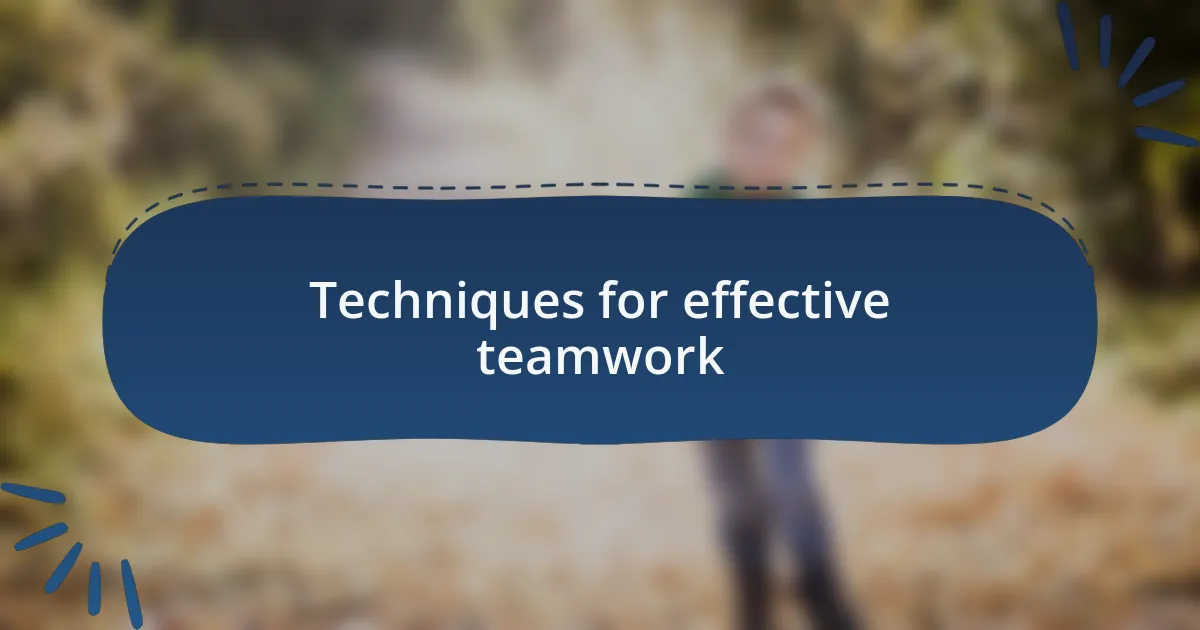 Techniques for effective teamwork