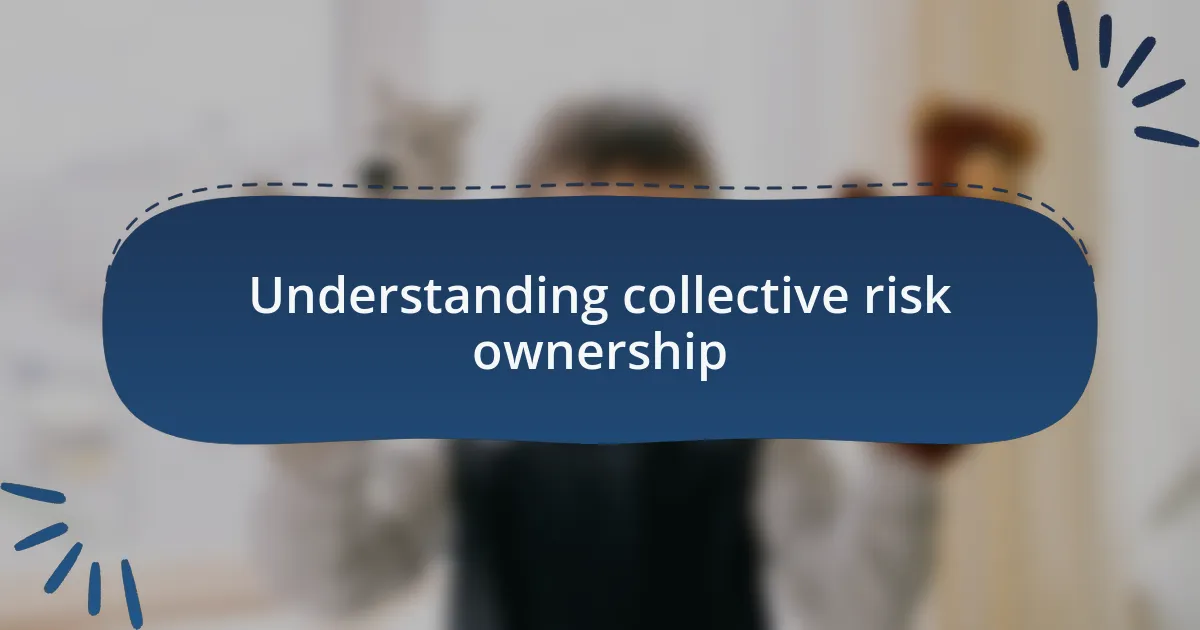 Understanding collective risk ownership