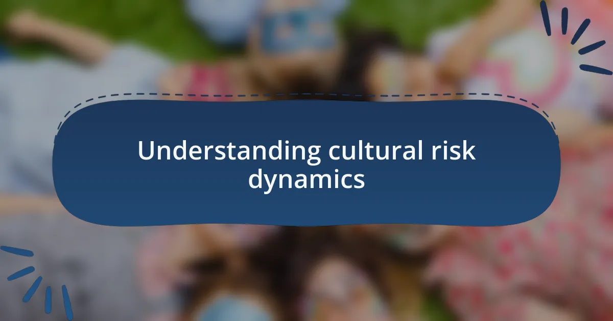 Understanding cultural risk dynamics