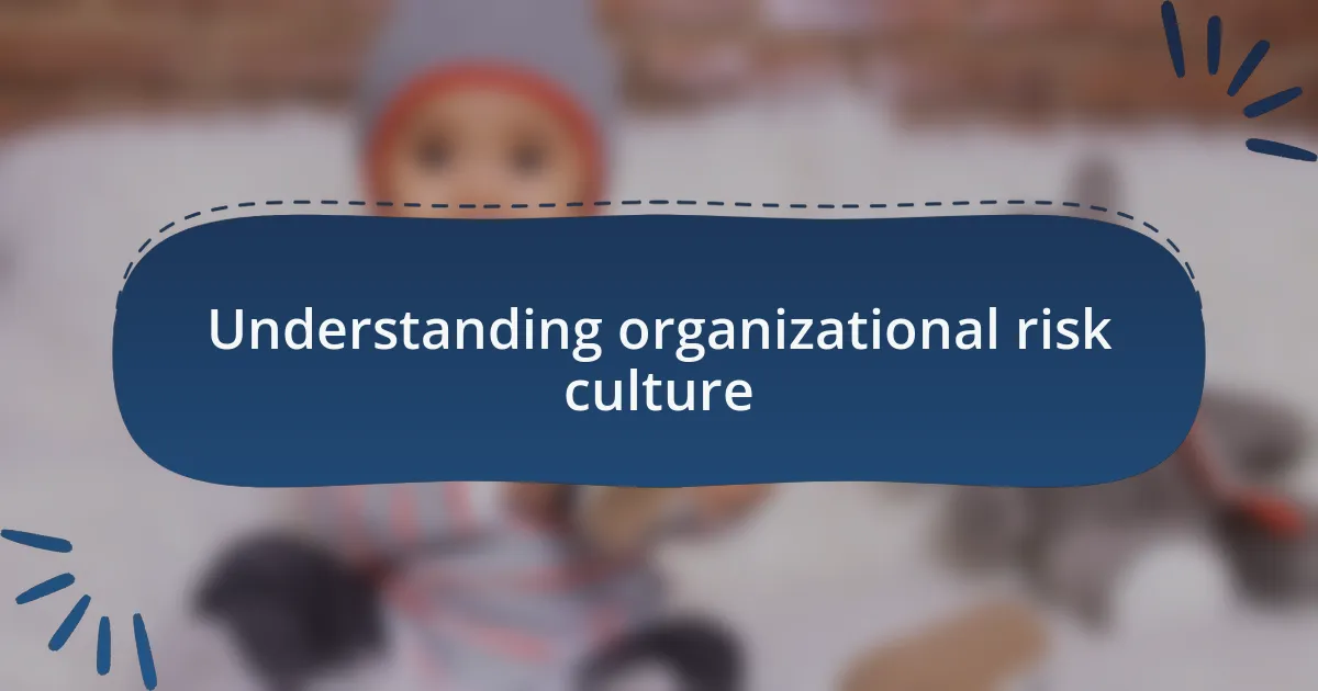 Understanding organizational risk culture