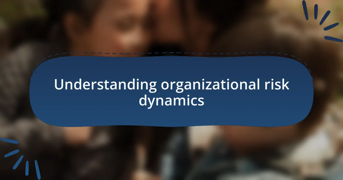 Understanding organizational risk dynamics