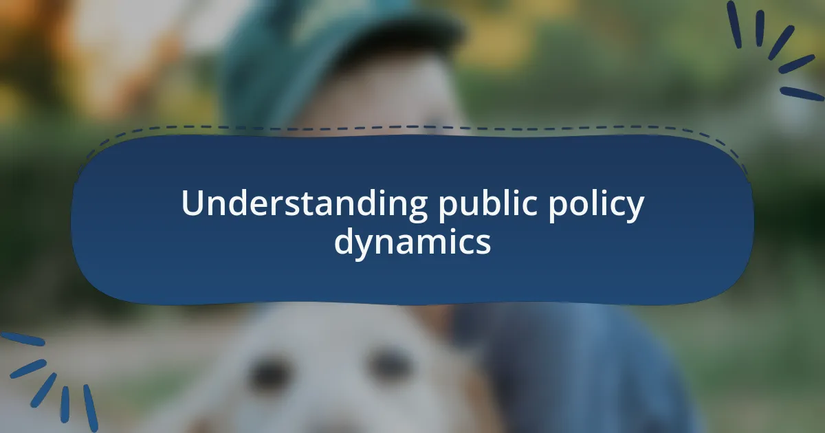 Understanding public policy dynamics
